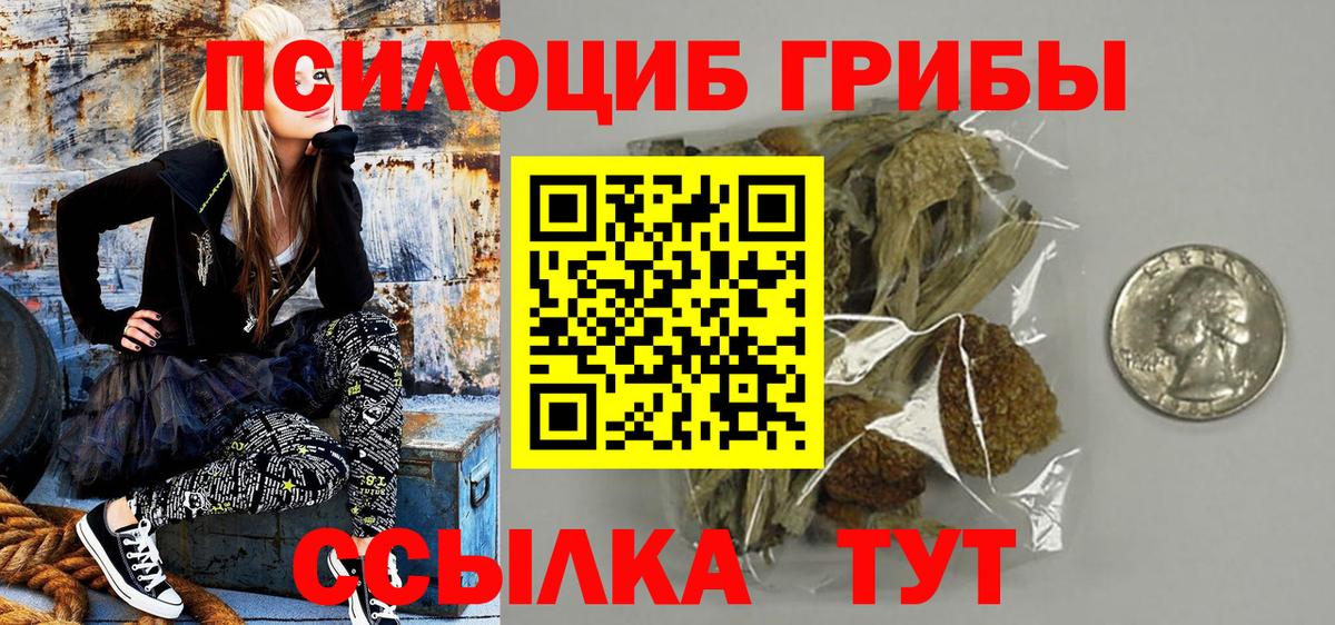 Галлюциногенные грибы прущие грибы Добрянка