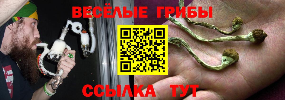 Добрянка  Псилоцибиновые грибы Magic Shrooms  Вход с VPN  Псилоцибиновые грибы MAGIC MUSHROOMS 